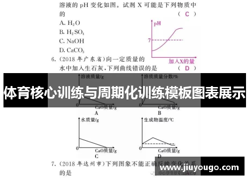 体育核心训练与周期化训练模板图表展示